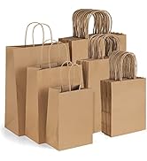 Eupako 75pcs Kraft Paper Bags Assorted Sizes, Brown Paper Bags with Handle Bulk, Paper Shopping B...