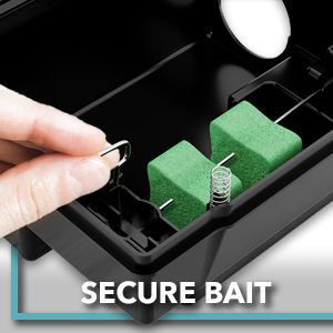 Best Rodent Bait Stations
