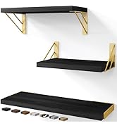 BAYKA Wall Shelves for Bedroom Decor, Floating Shelves for Living Room Kitchen Storage, Mounted R...