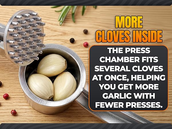 garlic press set stainless steel silver gift kitchen presser grinder peeler brush accessories