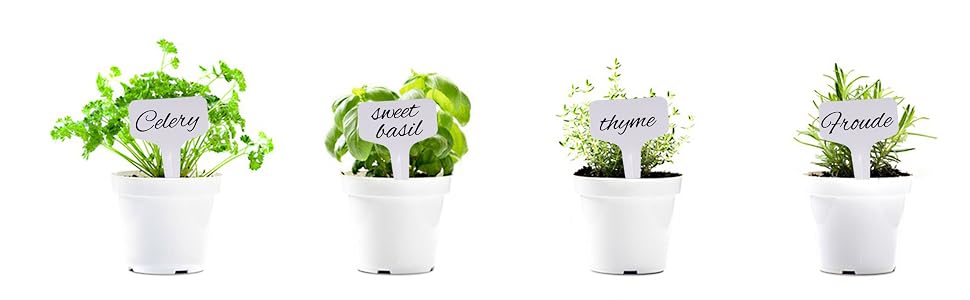 plant tags