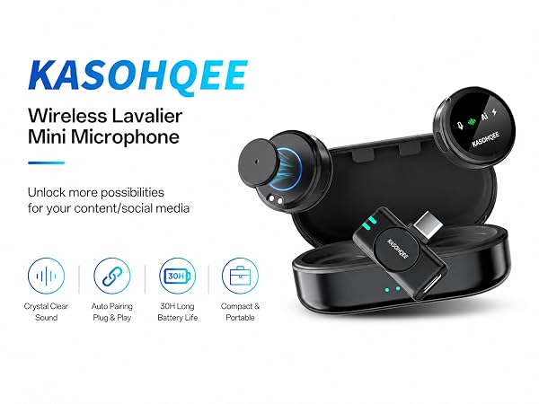 MINI MIC