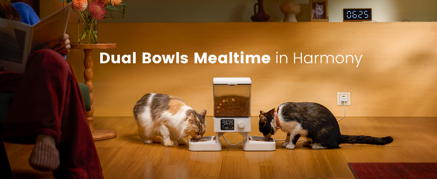 Automatic cat feeder