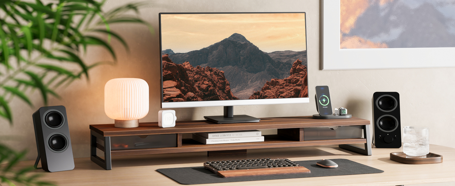 Monitor Stand Riser
