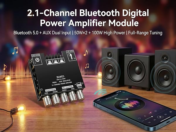 amplifier module