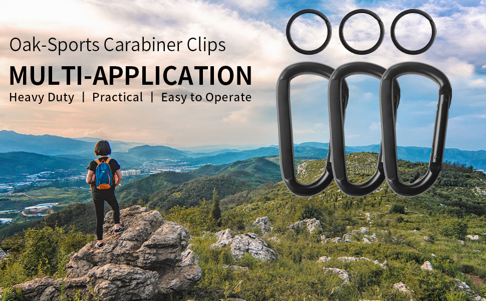 carabiner clips