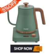 electric kettle temperature control