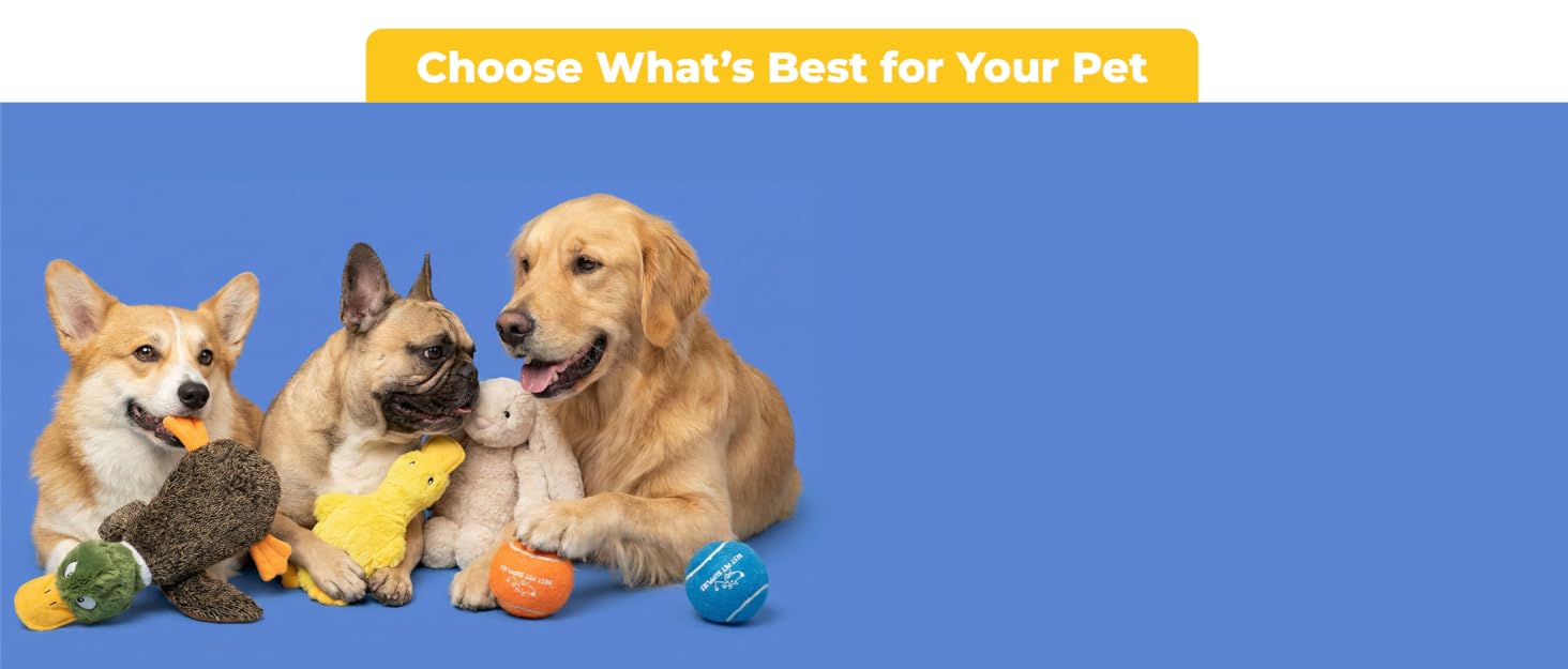 best pet supplies