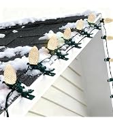 TW SHINE C9 Christmas Lights, 100 LED 66 FT Christmas String Lights Outdoor with 100 Spring Clips...