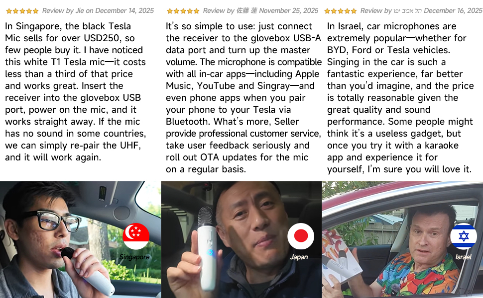Tesla car karaoke microphone