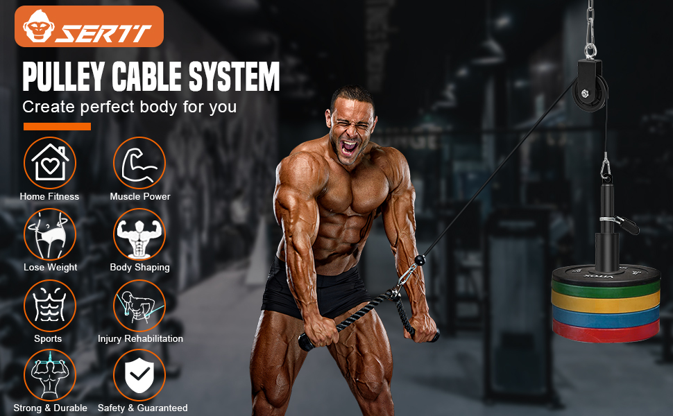 Pulley System Gym