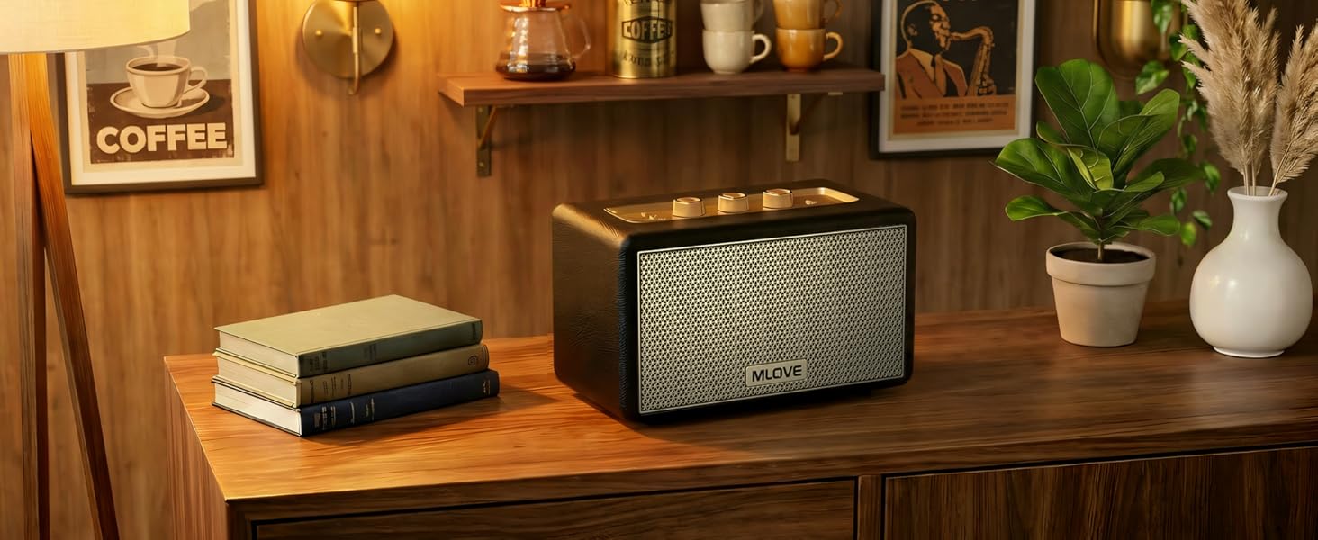 retro speaker