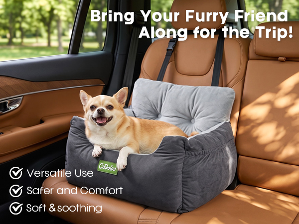 dog carseat