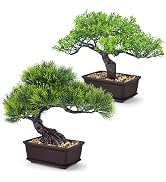 Der Rose 2Pcs Paired Fake Bonsai Tree Set Fake Plants for Shelf Desk Decor | 8" artificial bonsai...