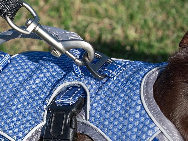 escape proof dog harness