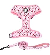Dog Harness and Leash Set, Adjustable Dog Harness, Dog Leash, No Pull No Choke Puppy Harnesses fo...