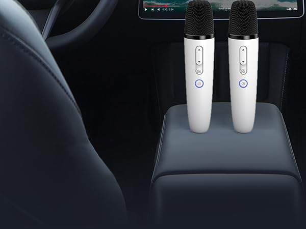 tesla accessories