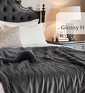 Electric Heated Blanket
