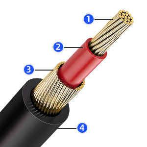 2RCA Male to Male A+ 06