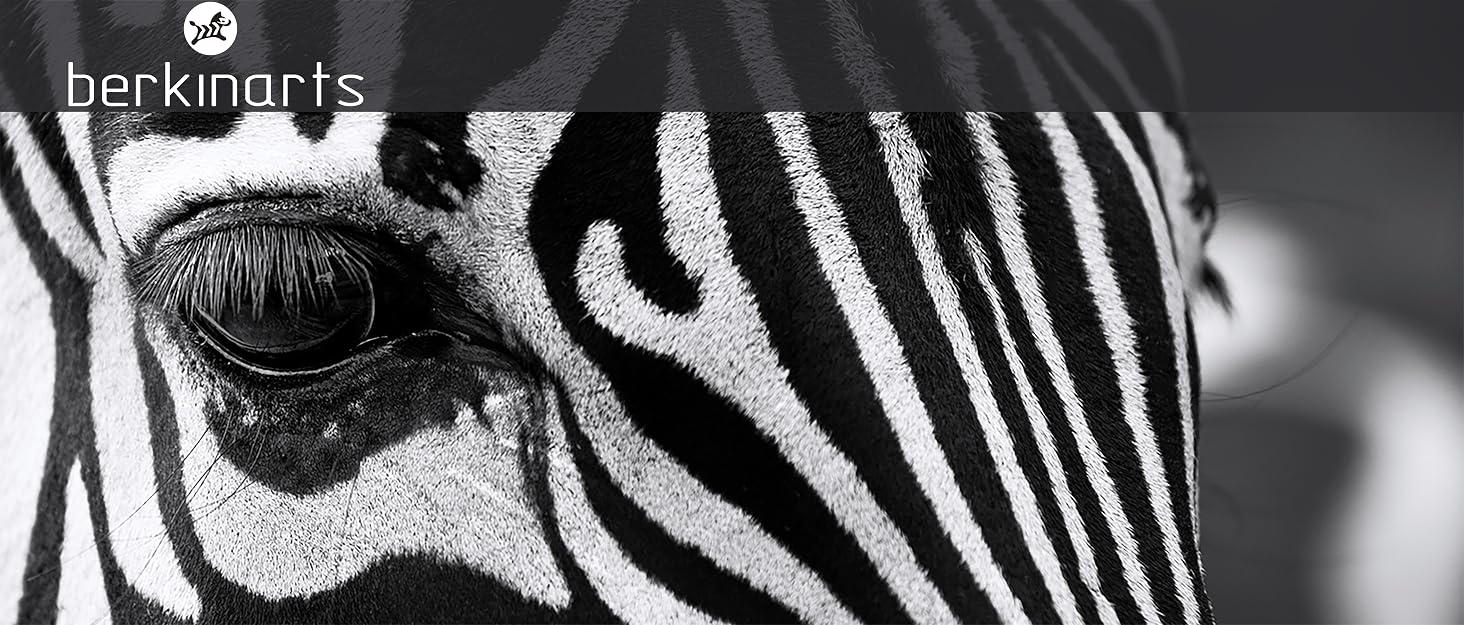 a close up of a zebra's face