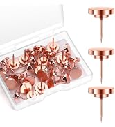 GOOLADA 30 Pieces Rose Gold Thumb Tacks, Rose Gold Push Pins, Metal Push Pins for Wall, Wall Tack...