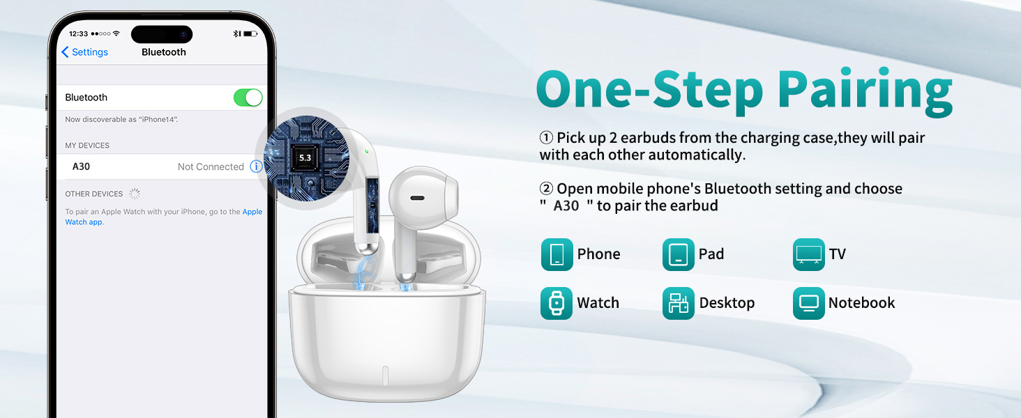 Wireless earbuds
