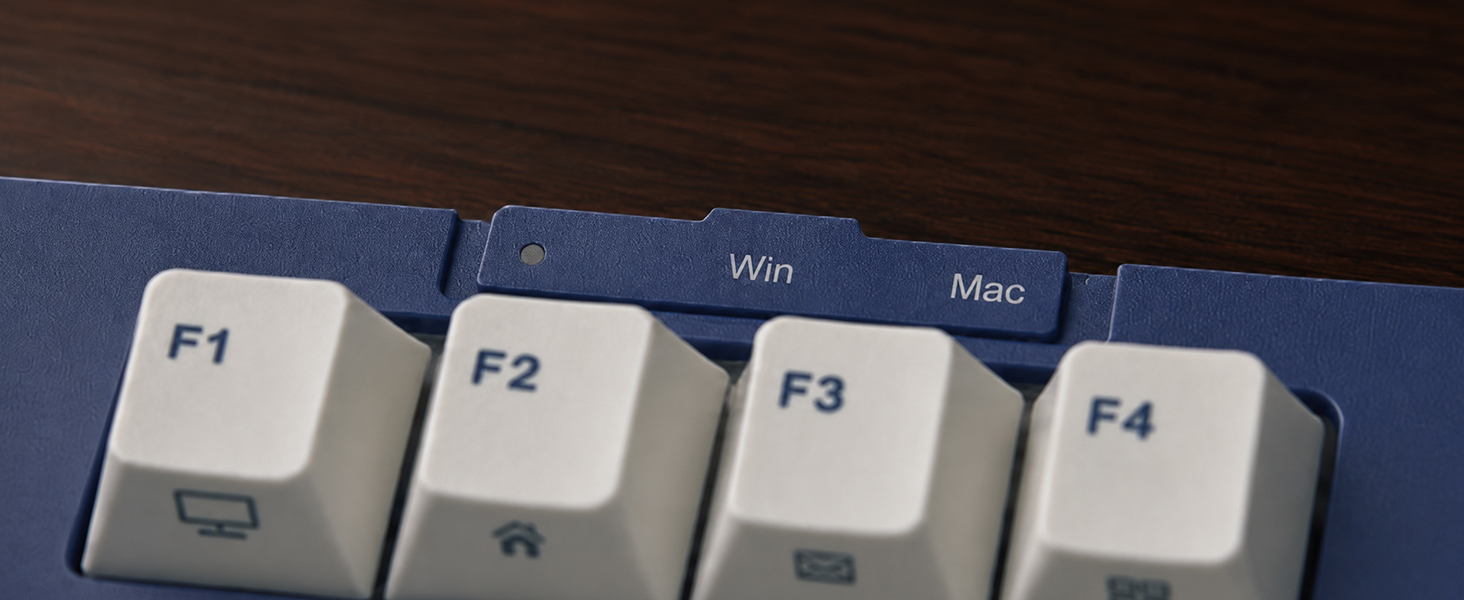 Win/Mac Switch