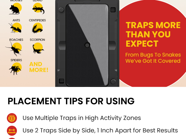 Wowcatch Mouse Glue Traps