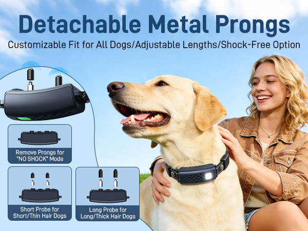 detachable metal prongs