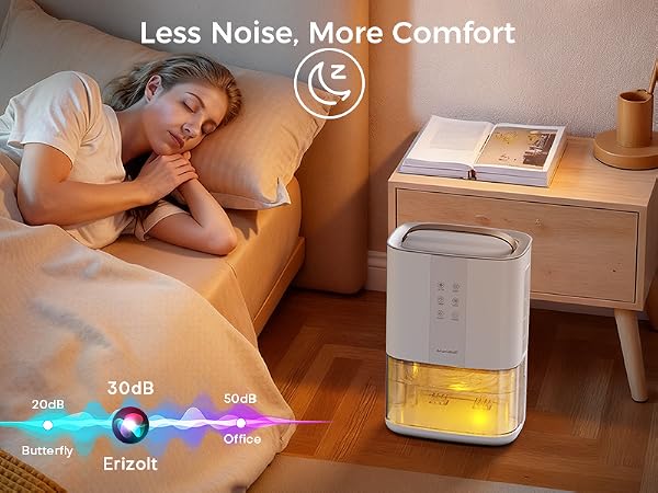 Dehumidifier for Bedroom