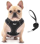 PUPTECK Dog Harness and Leash Set for Small Medium Dogs No Pull, Soft Mesh Adjustable Puppy Cat H...