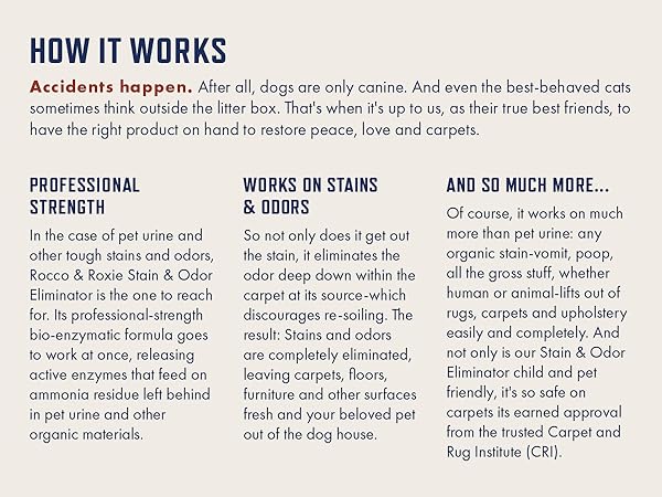 pet urine enzyme cleaner