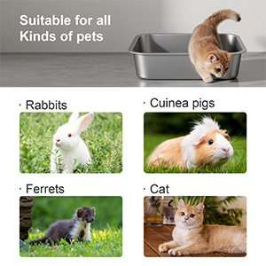 pet litter box