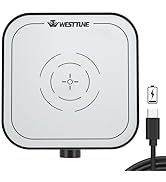 WEST TUNE Rechargeable 3000rpm Magnetic Stirrer Mixer with Stir Bar, Brushless DC Motor Max 3000m...
