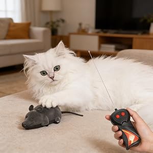 Durable & bite-resistant, safe for cats and long-lasting.