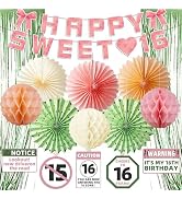 LOMOSO Traffic Sign Sweet 16 Birthday Party Decorations Set for Girls – Pink Banner with Green St...