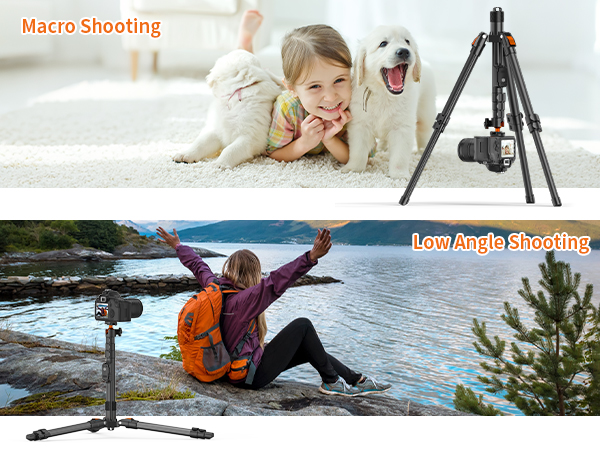 Low-angle & Macro shooting