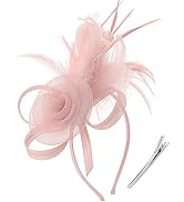 DRESHOW Fascinators Hats for Women Tea Party Fascinator Hats Vintage 50s Headwear Cocktail Weddin...