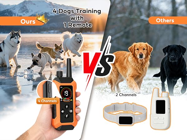 barking dog collar with remote