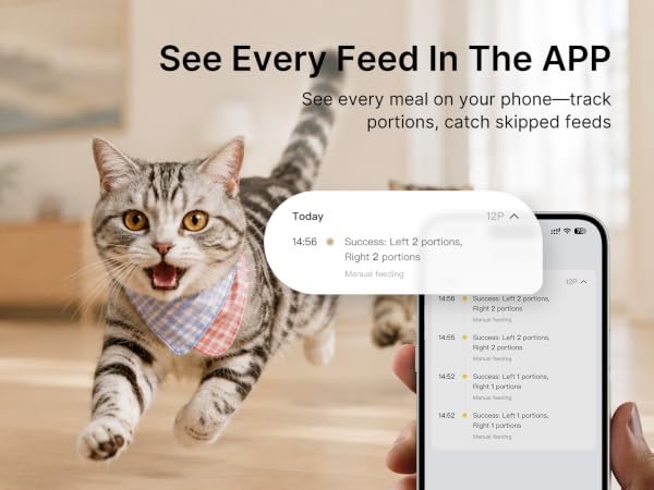 automatic pet feeder