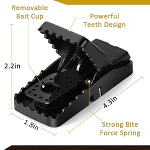 mice trap indoor