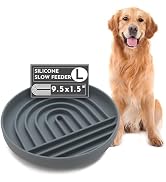 cosas pequeños clear plate work placemats workstation zip fit doberman apartment ideas cage mini