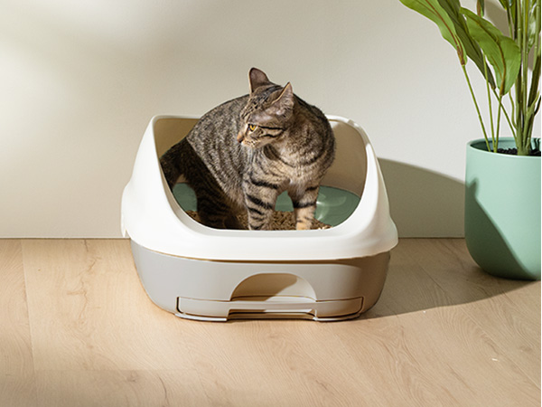 Tidy Cats Breeze live life unlittered