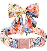 Unique style paws Cartoon Dog Collar with Bow Spring Summer Collar with Flower for Small Medium L...