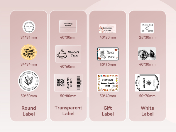 NIIMBOT b21 label maker with various label style to choose