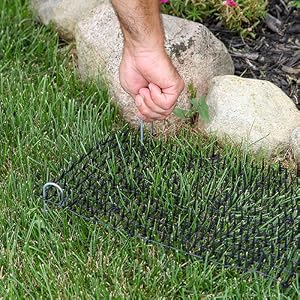 cat deterrent cat scat mat stop digging littering