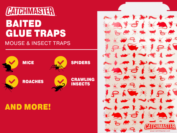 baited glue trap mouse insect trap