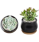 SHECIPIN 2 Pack Succulent Pots, 2.5 Inch Mini Ceramic Pots for Flower or Cactus Plants with Drain...