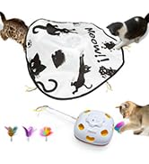 cat interactive toys