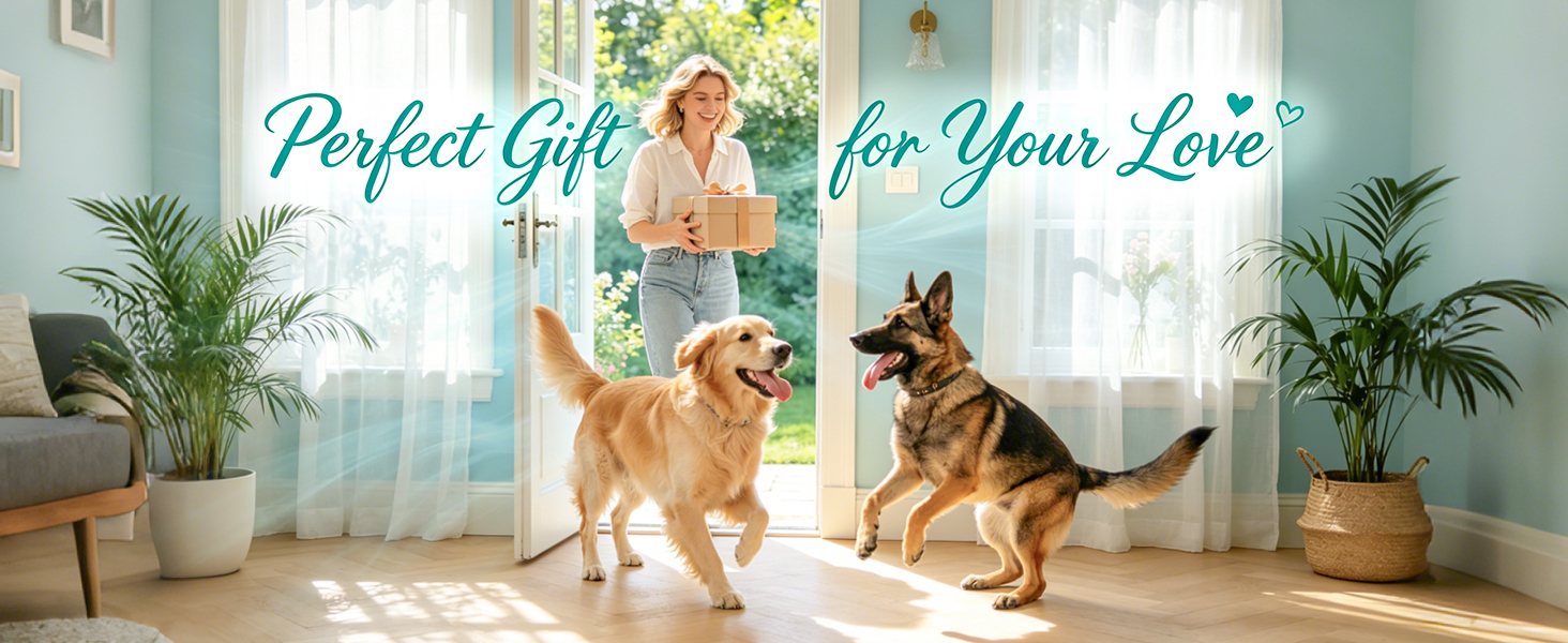 dog brithday gift